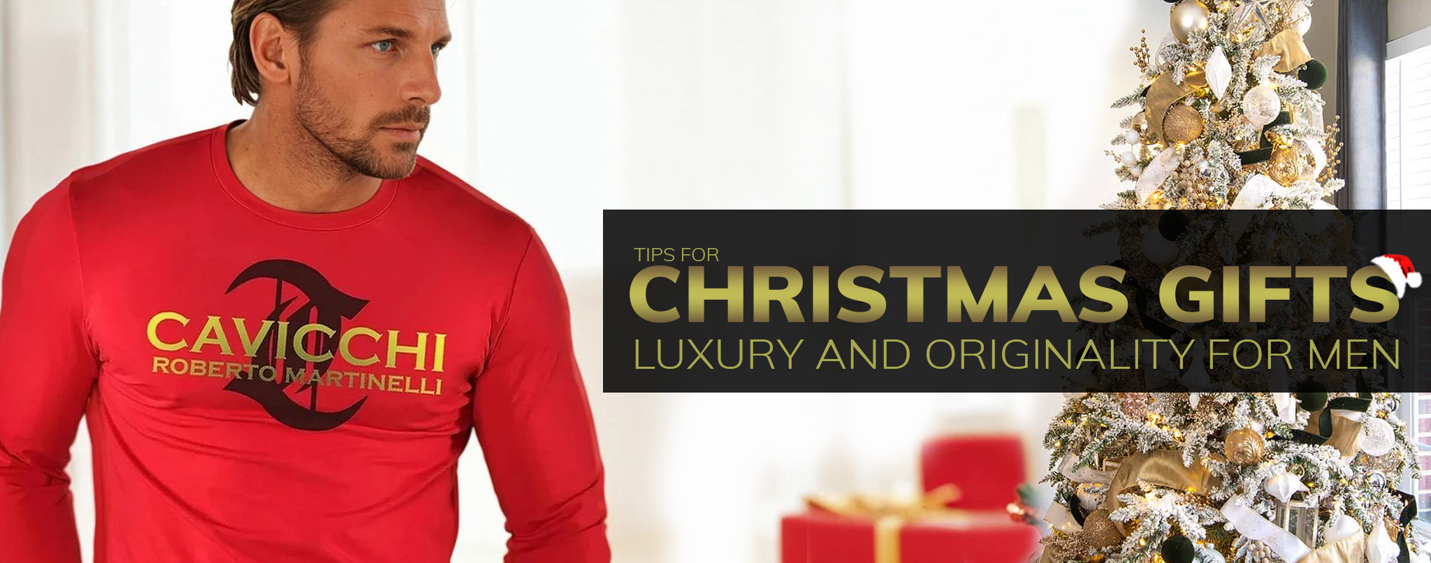 CAROUSEL fin-wellness-special-Sebastian-Christmas-eng